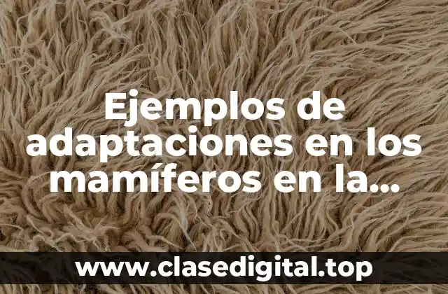 Ejemplos de adaptaciones en los mamíferos en la respiración