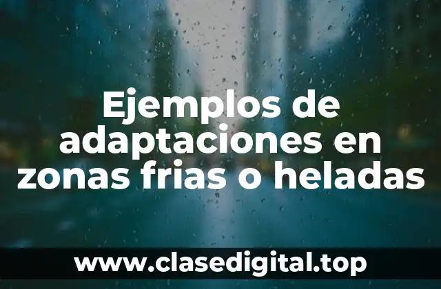 Ejemplos de adaptaciones en zonas frias o heladas