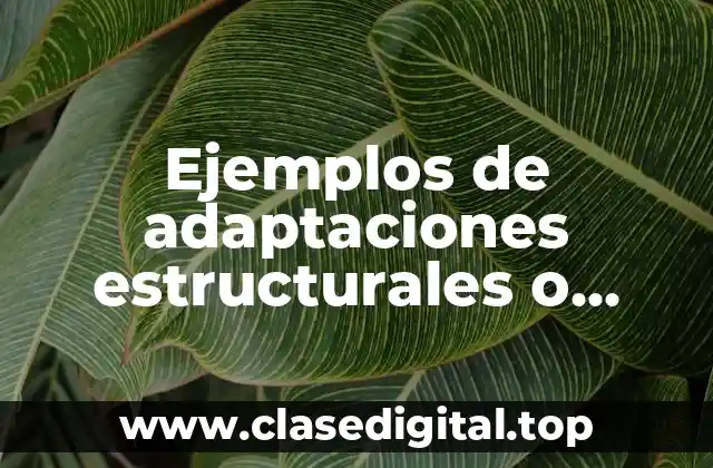 Ejemplos de adaptaciones estructurales o morfológicas