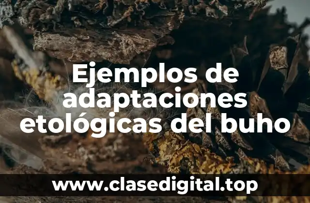 Ejemplos de adaptaciones etológicas del buho
