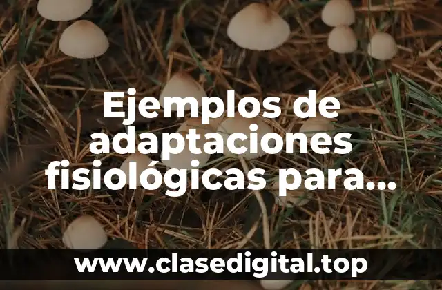 Ejemplos de adaptaciones fisiológicas para colorear