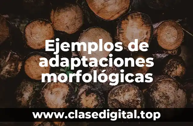 Ejemplos de adaptaciones morfológicas