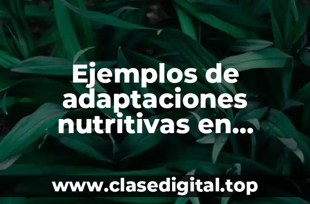Ejemplos de adaptaciones nutritivas en animales