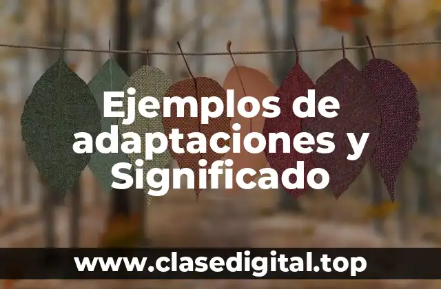 Ejemplos de adaptaciones