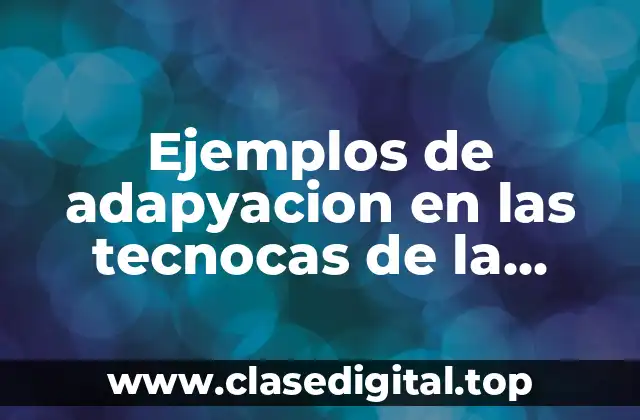 Ejemplos de adapyacion en las tecnocas de la traducción