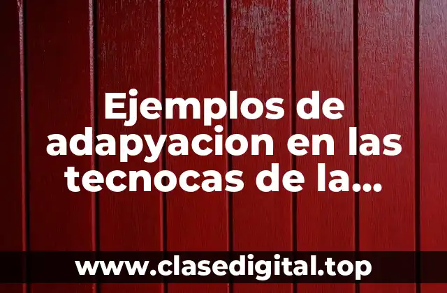 Ejemplos de adapyacion en las tecnocas de la traducción