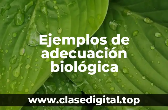 Ejemplos de adecuación biológica