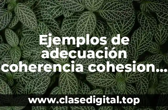 Ejemplos de adecuación coherencia cohesion y Significado