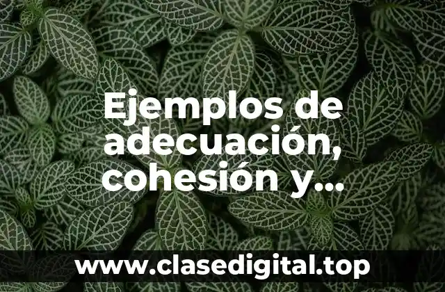 Ejemplos de adecuación, cohesión y coherencia