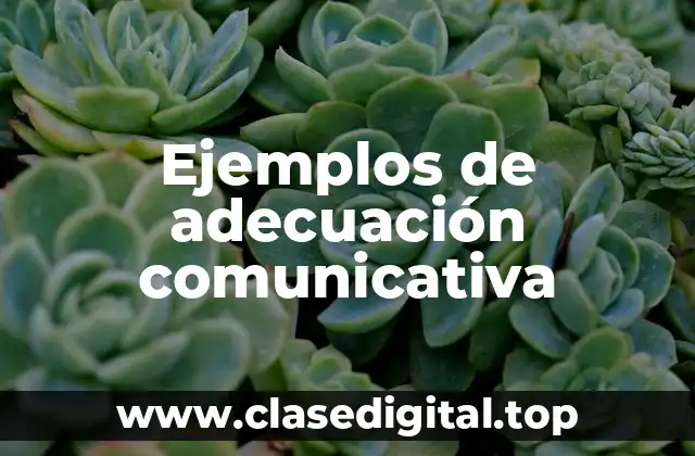 Ejemplos de adecuación comunicativa