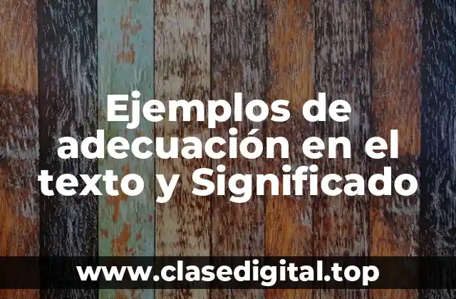 Ejemplos de adecuación en el texto y Significado