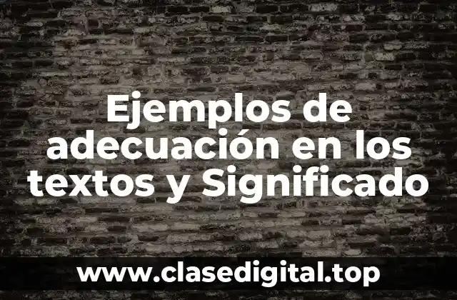 Ejemplos de adecuación en los textos y Significado