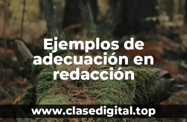 Ejemplos de adecuación en redacción