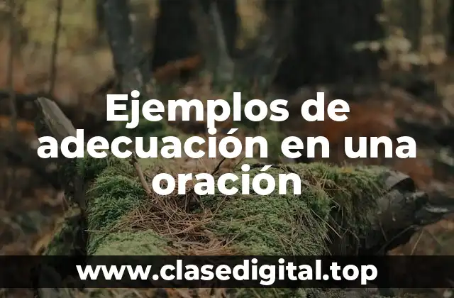 Ejemplos de adecuación en una oración