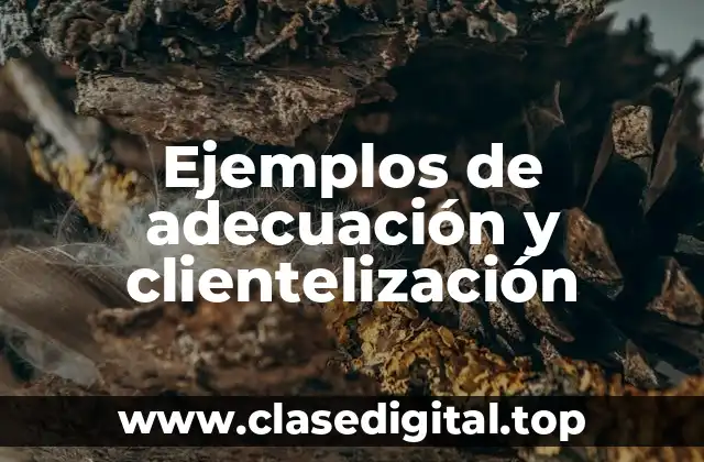 Ejemplos de adecuación y clientelización