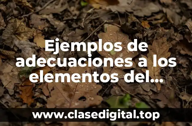 Ejemplos de adecuaciones a los elementos del currículum