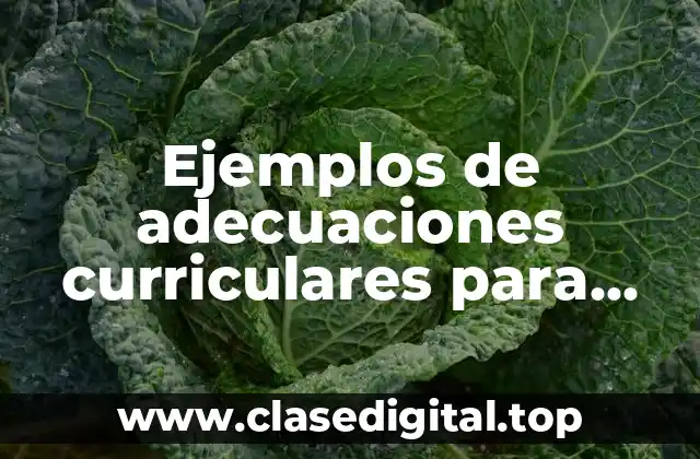 Ejemplos de adecuaciones curriculares para niños de preescolar