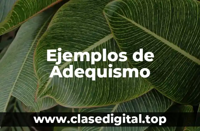 Ejemplos de Adequismo
