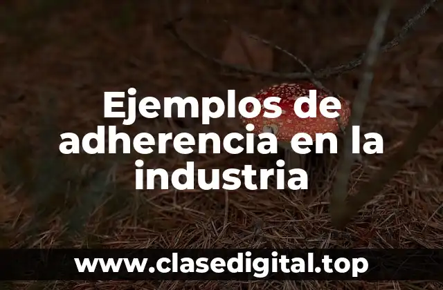 Ejemplos de adherencia en la industria
