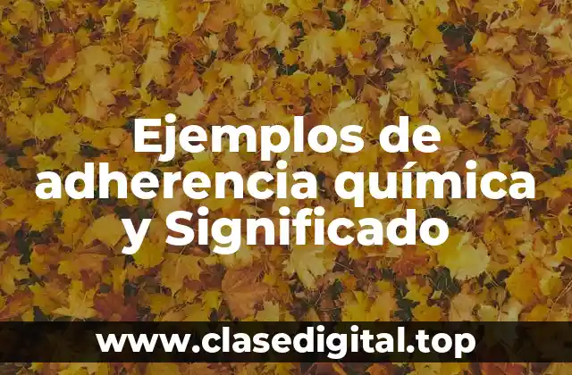 Ejemplos de adherencia química y Significado