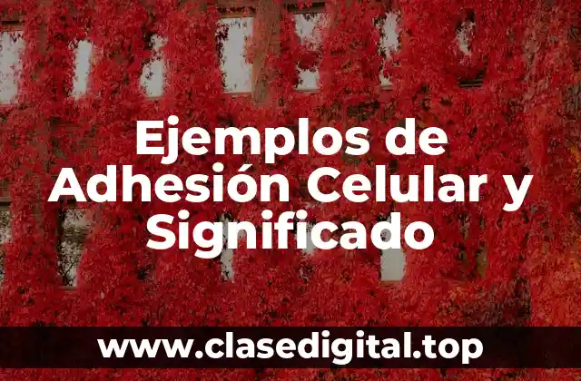 Ejemplos de Adhesión Celular y Significado