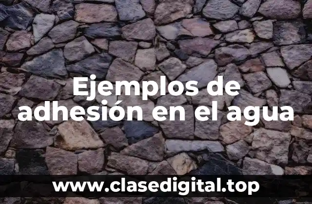 Ejemplos de adhesión en el agua