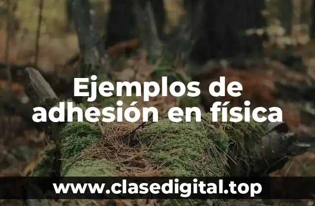 Ejemplos de adhesión en física