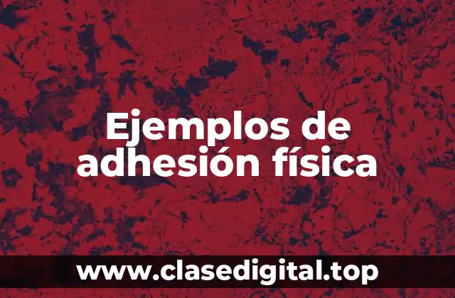 Ejemplos de adhesión física
