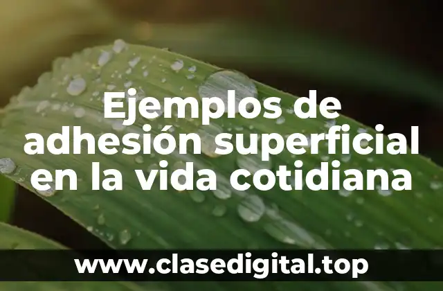 Ejemplos de adhesión superficial en la vida cotidiana
