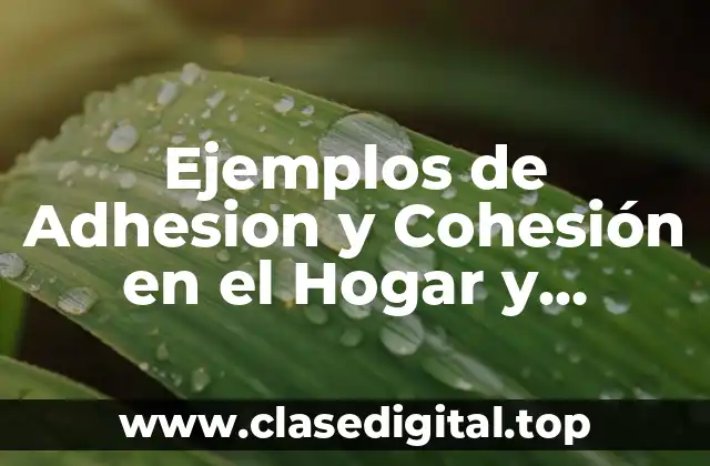 Ejemplos de Adhesion y Cohesión en el Hogar y Significado