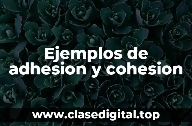 Ejemplos de adhesion y cohesion