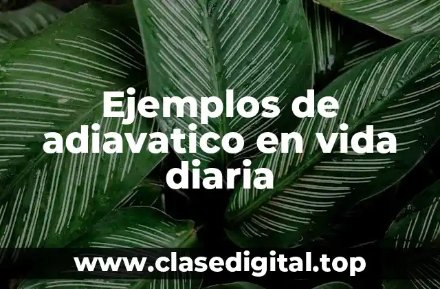 Ejemplos de adiavatico en la vida diaria
