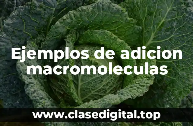 Ejemplos de adicion macromoleculas