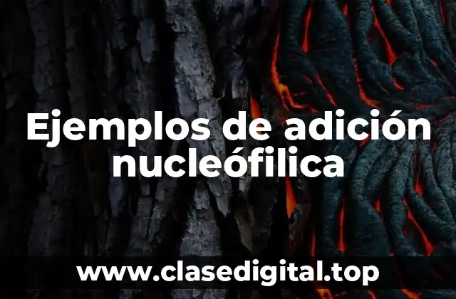 Ejemplos de adición nucleófilica