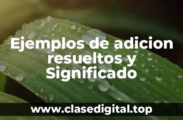 Ejemplos de adicion resueltos y Significado