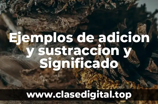 Ejemplos de adicion y sustraccion y Significado