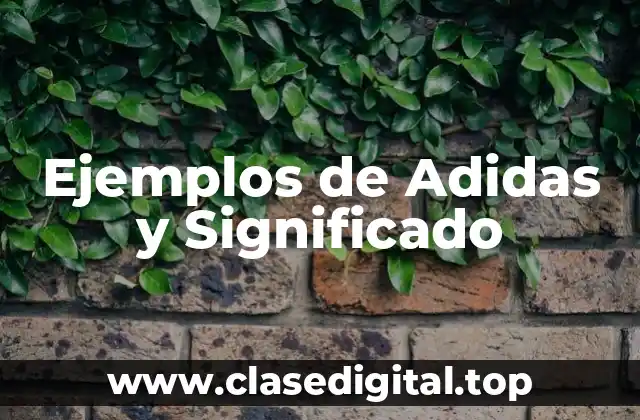 Ejemplos de Adidas y Significado