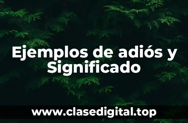 Ejemplos de adiós y Significado