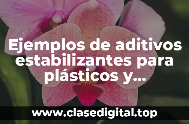 Ejemplos de aditivos estabilizantes para plásticos y Significado