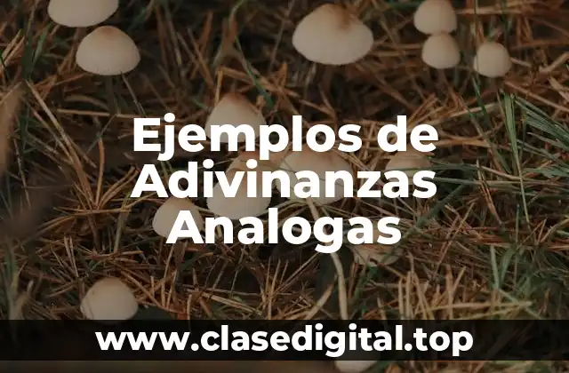 Ejemplos de Adivinanzas Analogas