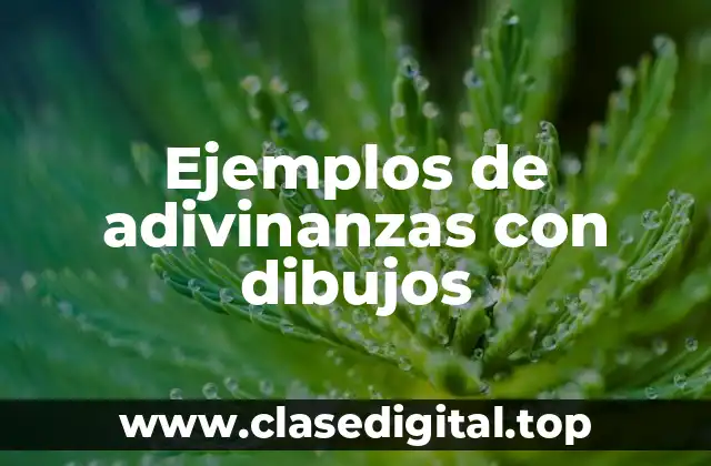 Ejemplos de adivinanzas con dibujos