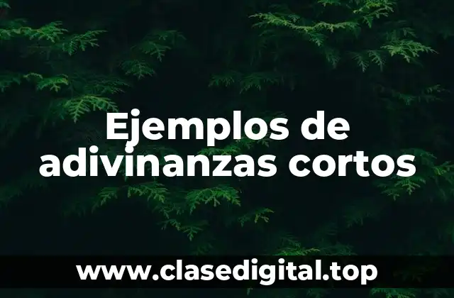 Ejemplos de adivinanzas cortos