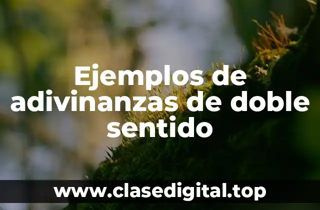 Ejemplos de adivinanzas de doble sentido