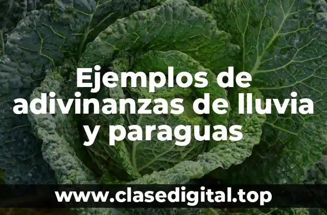 Ejemplos de adivinanzas de lluvia y paraguas