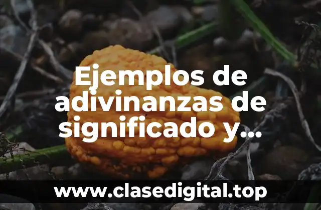 Ejemplos de adivinanzas de significado y Significado