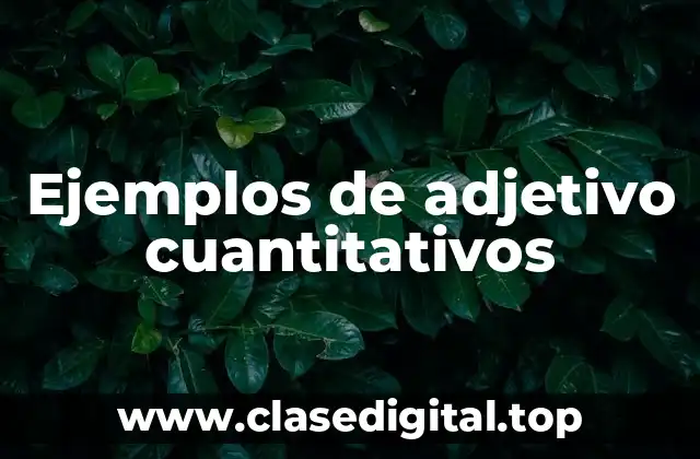 Ejemplos de adjetivos cuantitativos