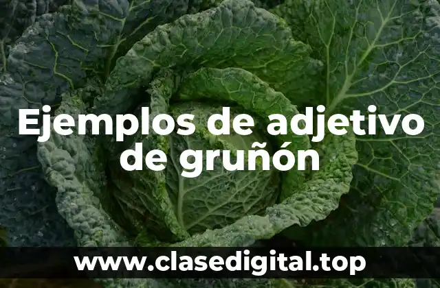 Ejemplos de adjetivo de gruñón