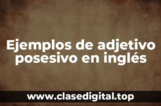 Ejemplos de adjetivo posesivo en inglés