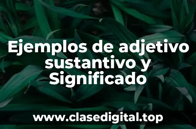 Ejemplos de adjetivo sustantivo y Significado