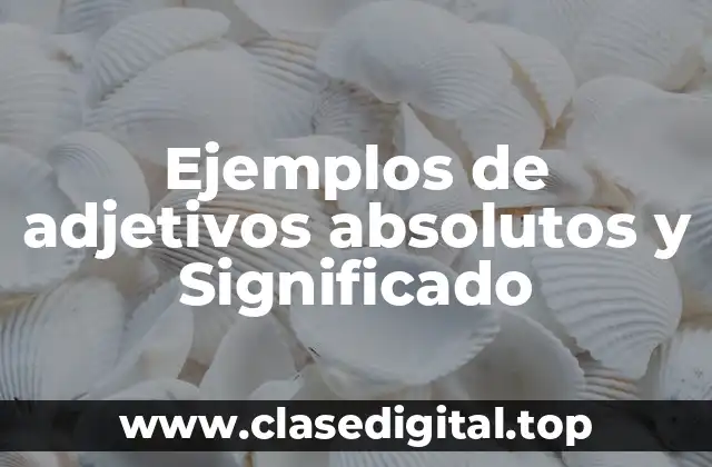 Ejemplos de adjetivos absolutos y Significado